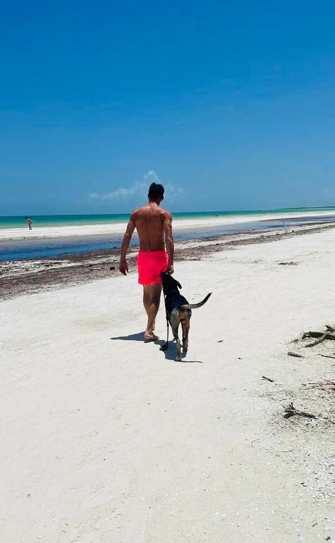 Pachamama Holbox - Hostel & Private Apartments Exterior foto